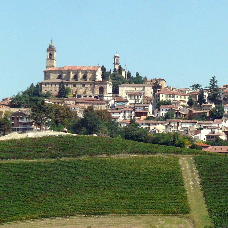 Vignale_monferrato-panorama2_-_copia