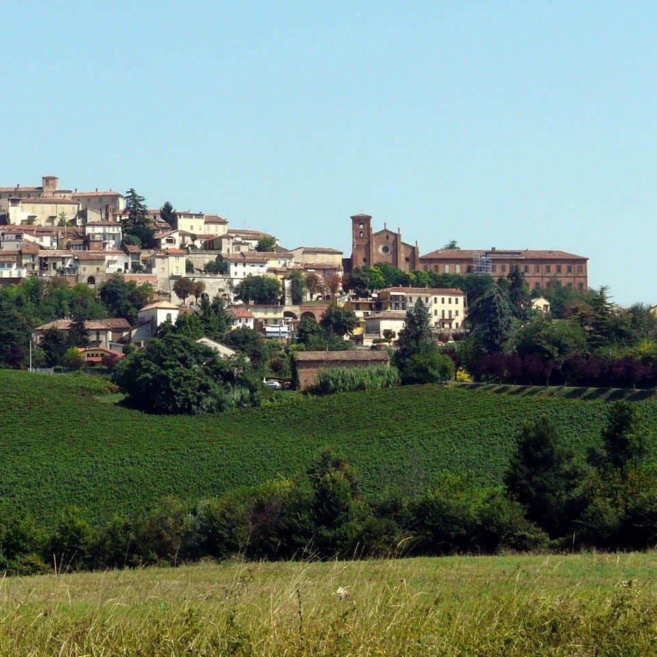 Vignale_monferrato-panorama2